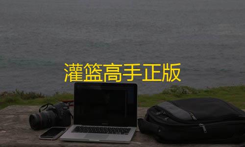 第五人格寂静直装下载灌篮高手正版